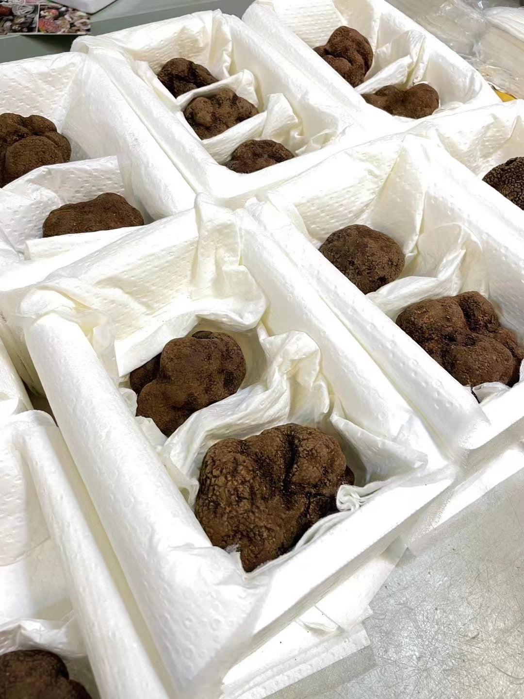 Fresh Winter Black Truffles