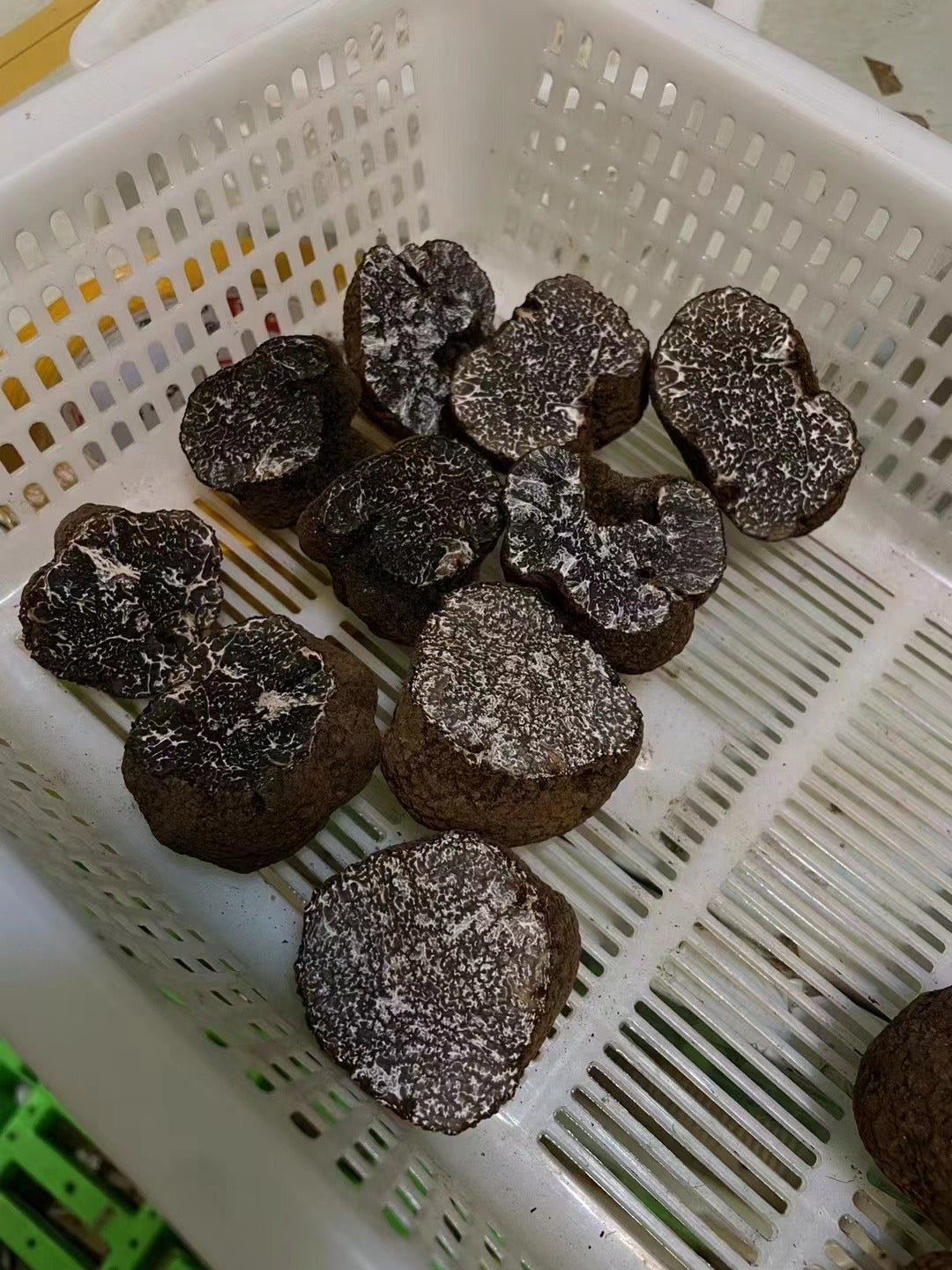 Fresh Winter Black Truffles
