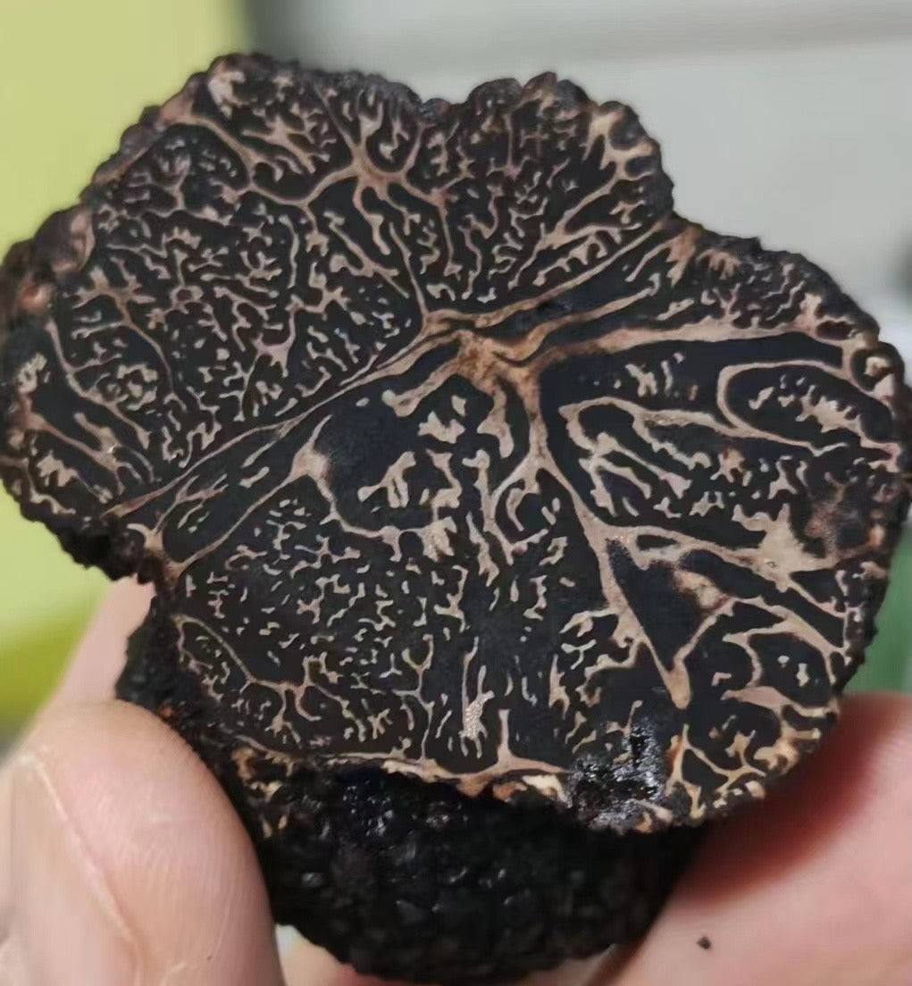 Fresh Winter Black Truffles