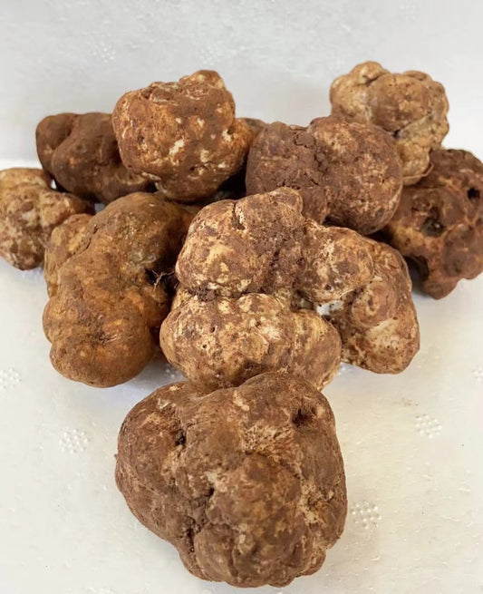 Fresh Winter White Truffles